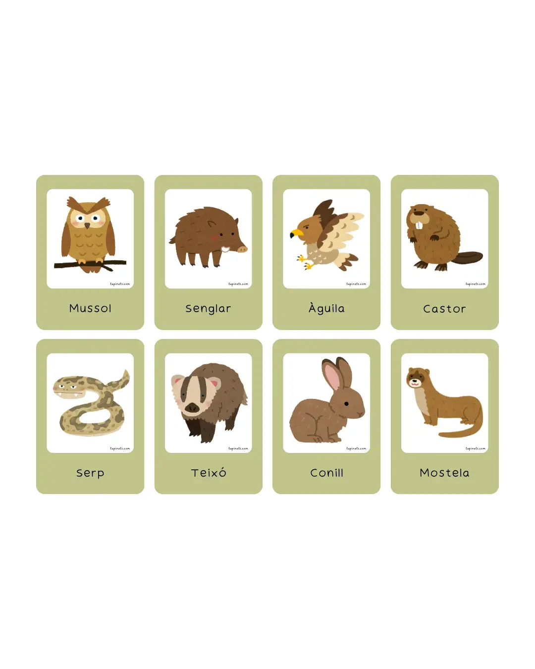 ANIMALS DEL BOSC preview 2