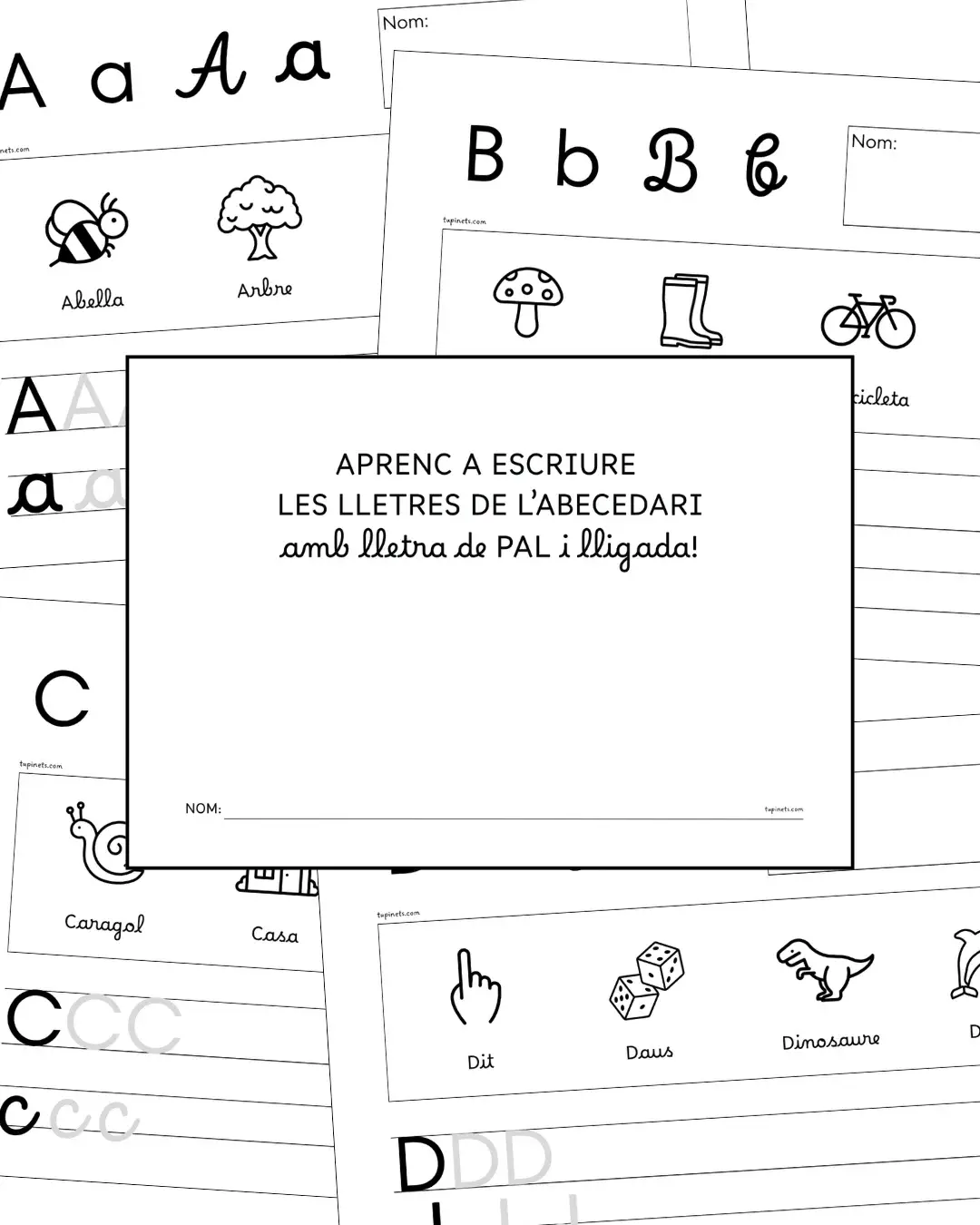 DOSSIER ESCRIPTURA preview 1