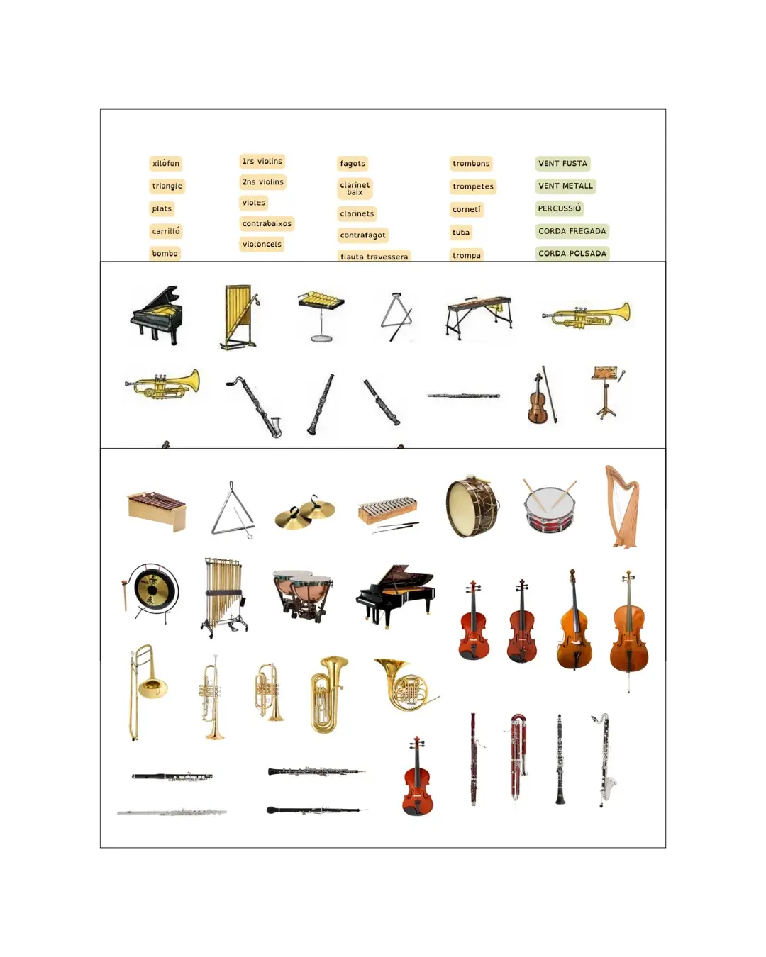 ORQUESTRA SIMFÒNICA preview 4